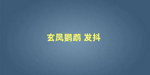 玄凤鹦鹉 发抖
